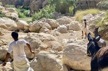 Discover Wadi Shab by a Professional Omani Guide (private). 