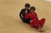 Day Tour in Whales Valley and Wadi El Rayan Water Falls