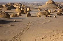 Day Tour in Whales Valley and Wadi El Rayan Water Falls