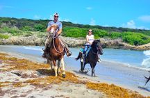  Morning horseback riding tour from Punta Cana