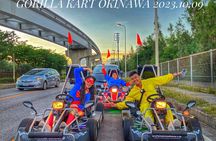 2Hour Gorilla Go Kart Tour in Okinawa:(NIGHT SLOTS AVAILABLE TOO)