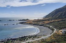 Martinborough Wine and Wild Coast Tour from Wellington