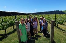 Martinborough Wine and Wild Coast Tour from Wellington