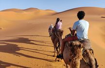  3-Day Trip from Fez to Marrakech via Merzouga Desert