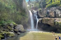 Best Of Ubud Half Day Private Guided Tour