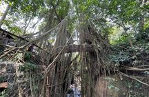 Ubud Monkey Forest Sanctuary Entrance Ticket All Inclusive