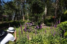 4 Hr Private Photography Tour from Kenmare – All Skill Levels