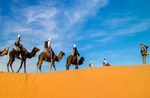 Fes - Marzouga - Marrakech : 2 days 1 night desert tour