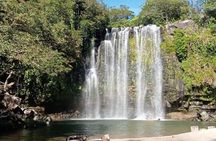 Sloth Tour in Rainforest, Waterfall, Organic Coffee and Chocolate