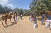 Private Fes to middle atlas with hiking in cedar forest