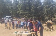 Private Fes to middle atlas with hiking in cedar forest