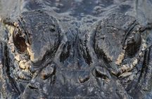 Mosquito Lagoon Sight Fishing Charters Near Orlando Florida