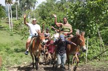 Horse back riding (Punta Cana/Bavaro)