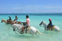 Horse back riding (Punta Cana/Bavaro)