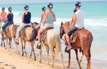 Horse back riding (Punta Cana/Bavaro)