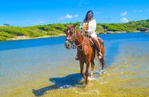 Horse back riding (Punta Cana/Bavaro)