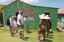  5 Tours of Jungle and Dominican Culture with Lunch 