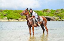  5 Tours of Jungle and Dominican Culture with Lunch 