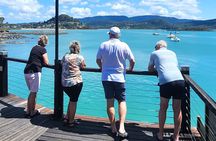 Airlie Beach Explorer-Snapshots, Sights and Highlights