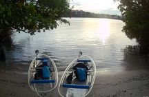 Clear Kayak Eco Tour in Jupiter, Florida