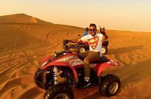 Morning Desert Safari Adventure, Quad Bike, Falcon & Camel Ride