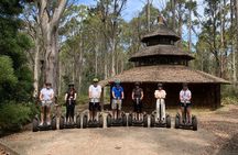 Launceston: Hollybank Treetops Adventures - Segway Tour