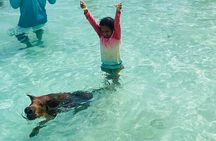 Luxury Catamaran Cruise: Sip, Sail, Snorkel, and Swim with Pigs!
