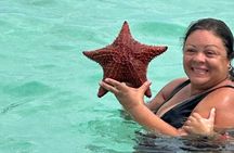 Luxury Catamaran Cruise: Sip, Sail, Snorkel, and Swim with Pigs!