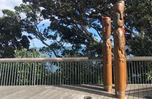 Half-Day Volcano Tour from Auckland