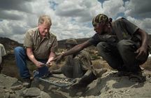Tanzanite Mining Day Trip