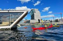 Oslo Sea Kayak Tour: Explore The Incredible Oslofjord