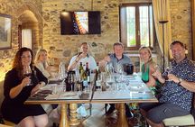 Vineyard tour with tasting of 4 wines on Garda Hills