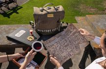 Private Dublin Treasure Hunt Self Guided Tour