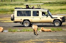 Ngorongoro Crater Day Trip With Pick Up