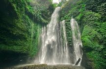 Waterfall Trip (Sendang Gile & Tiu Kelep Waterfall) North Lombok