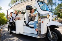 Private Electric Tuk Tuk Tour in Rome