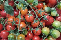 Hike and Dinner in Positano among ancient flavors and traditions