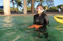 Exclusively Private Snorkel Adventures Training & Tours Ultimate
