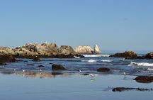 Southcoast - Private Full-Day tour