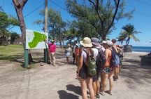Private Northern Saint Lucia Tour
