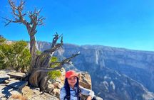 AL HAMRA & JEBEL SHAMS - Muscat, Oman