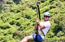 Shaka Zipline: 8 Line Zipline Tour (80 - 260 lbs)