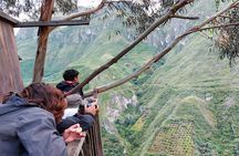 Private Tour Watching the Spectacled Bear