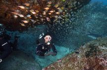Double Dive to South Solitary Island Coffs Harbour