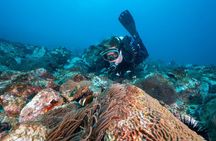 Double Dive to South Solitary Island Coffs Harbour