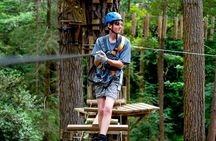 Launceston: Hollybank Treetops Adventure - Zipline Tours