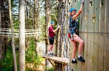 Launceston: Hollybank Treetops Adventure - Zipline Tours