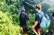 Ometepe trekking - Volcano Maderas By Happy Tours