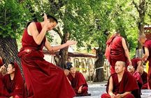 Private Guided Day Tour Potala Palace and Sera Monastery