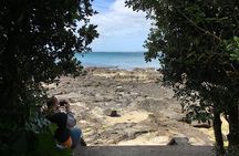Full-Day Grand Auckland Volcanoes Tour